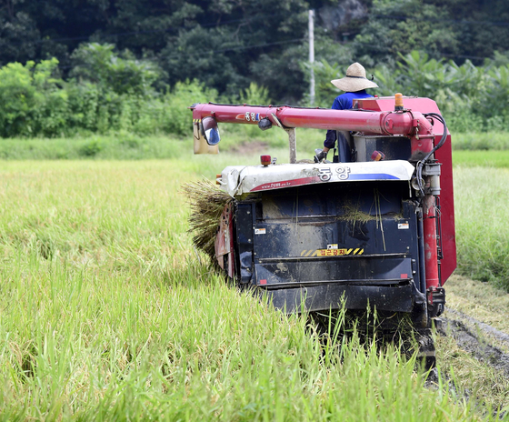 A rice farmer in Hwacheon, Gangwon, harvests rice on Saturday ...