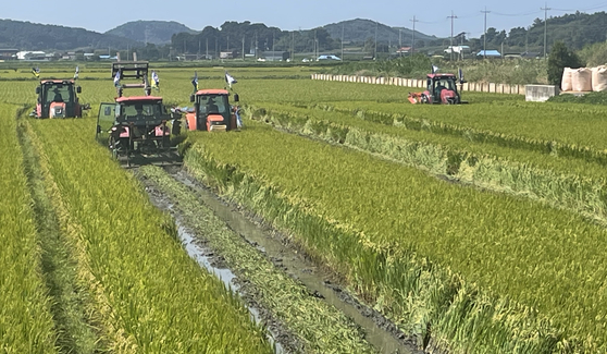 Rice farmers in Yesan county, South Chungcheong, plow paddies on Thursday. [YONHAP]