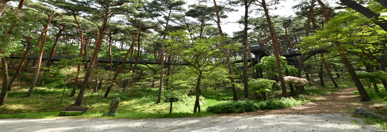 Anmyeondo Island Recreational Forest in Taean County, South Chungcheong [TAEAN COUNTY]