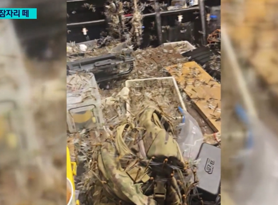 Hundreds of globe skimmer dragonflies land on equipment on a ship operating in waters near Jeju Island in footage broadcast by SBS. [SCREEN CAPTURE]