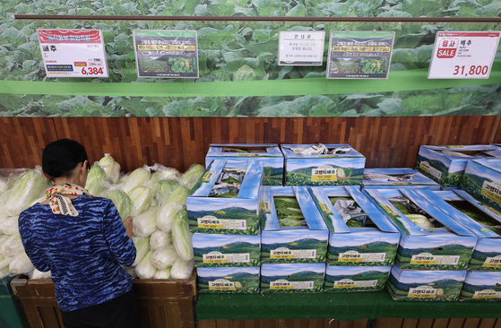 A customer shops for cabbages at Hanaro Mart's Yangjae branch in Seocho District, southern Seoul, on Thursday afternoon. [YONHAP]