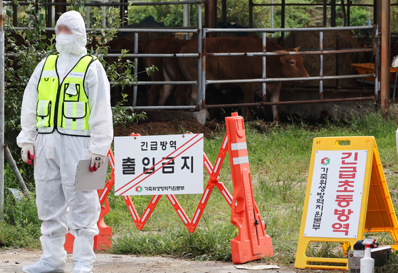 A quarantine official controls entry to a cattle farm in Yeoju, Gyeonggi on Sept. 19, 2024, after a case of lumpy skin disease was reported there. [YONHAP]