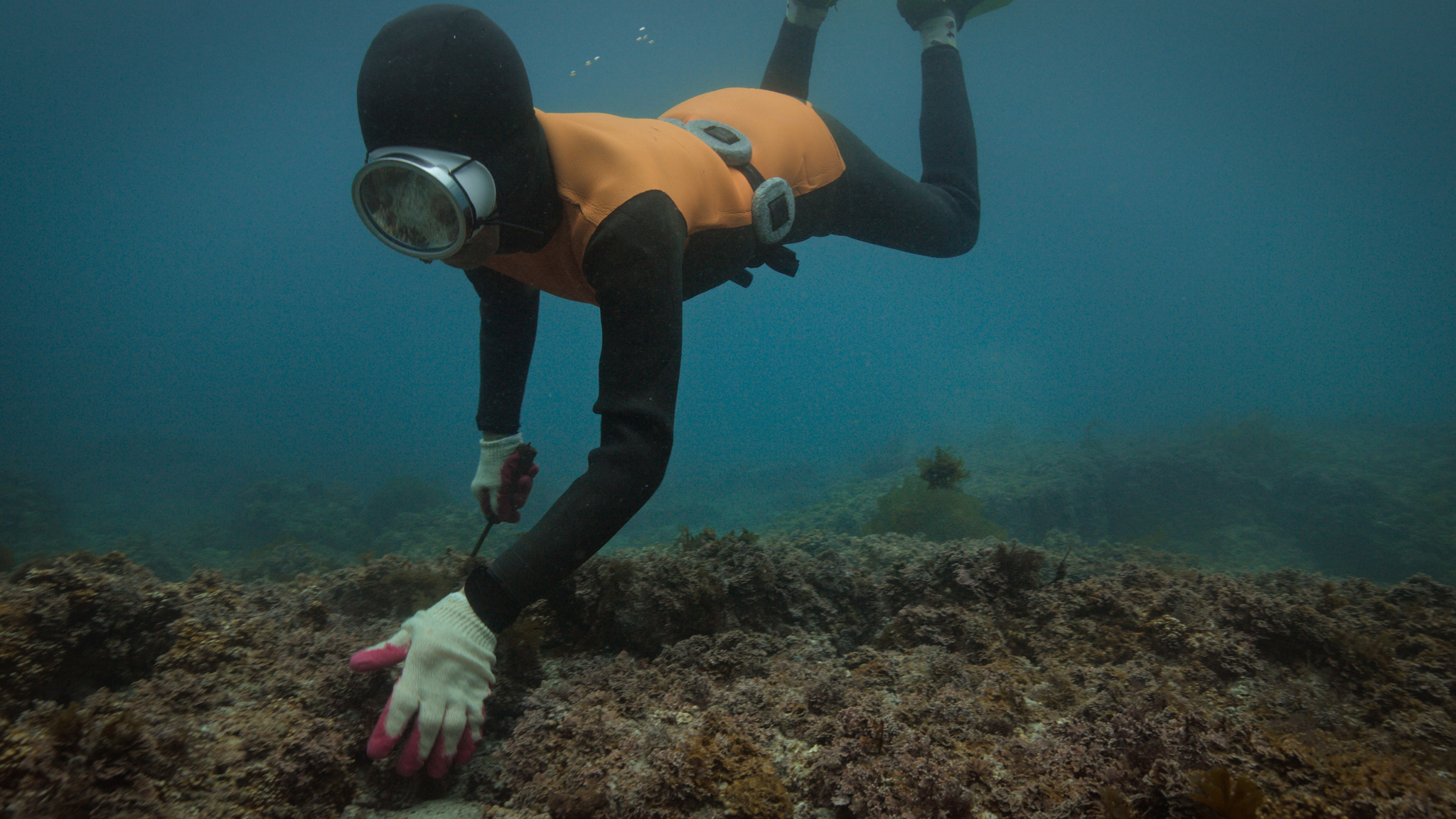 Still from Apple TV+'s documentary film "The Last of the Sea Women" [APPLE TV+]