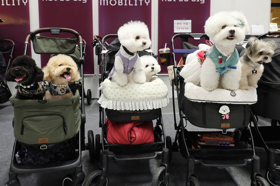 Dogs ride in strollers at a pet expo held at Coex in Gangnam District, southern Seoul, on Aug. 25. [YONHAP]