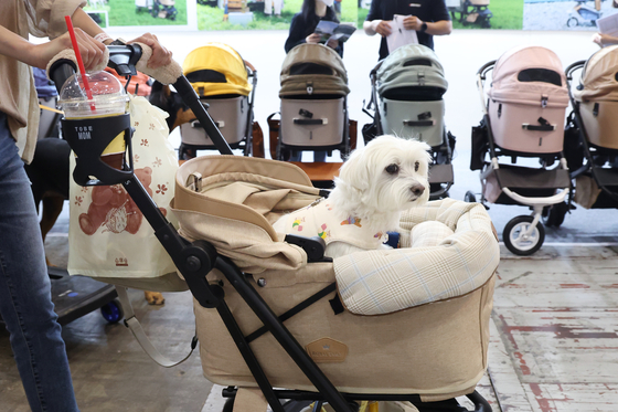 A visitor pushes her dog in a stroller at a pet industry expo held at Kintex in Goyang, Gyeonggi, on May 19, 2023. [YONHAP]