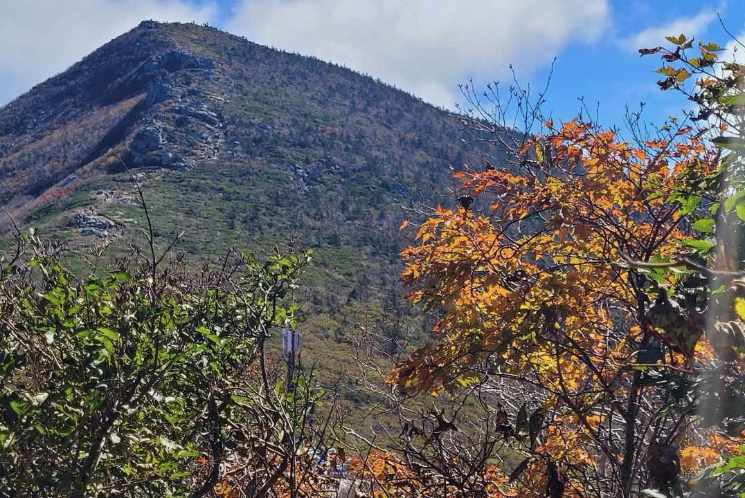 In a photo provided by the Korea Meteorological Administration, the first fall foliage is observed on Mount Seorak in Gangwon on Oct. 4. [KOREA METEOROLOGICAL ADMINISTRATION] 