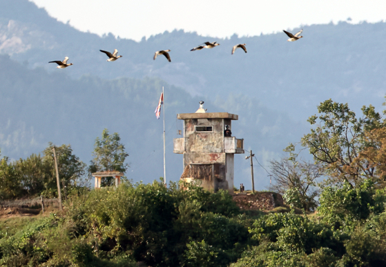 Birds fly above a North Korean guard post along the demilitarized zone on Wednesday. [YONHAP]