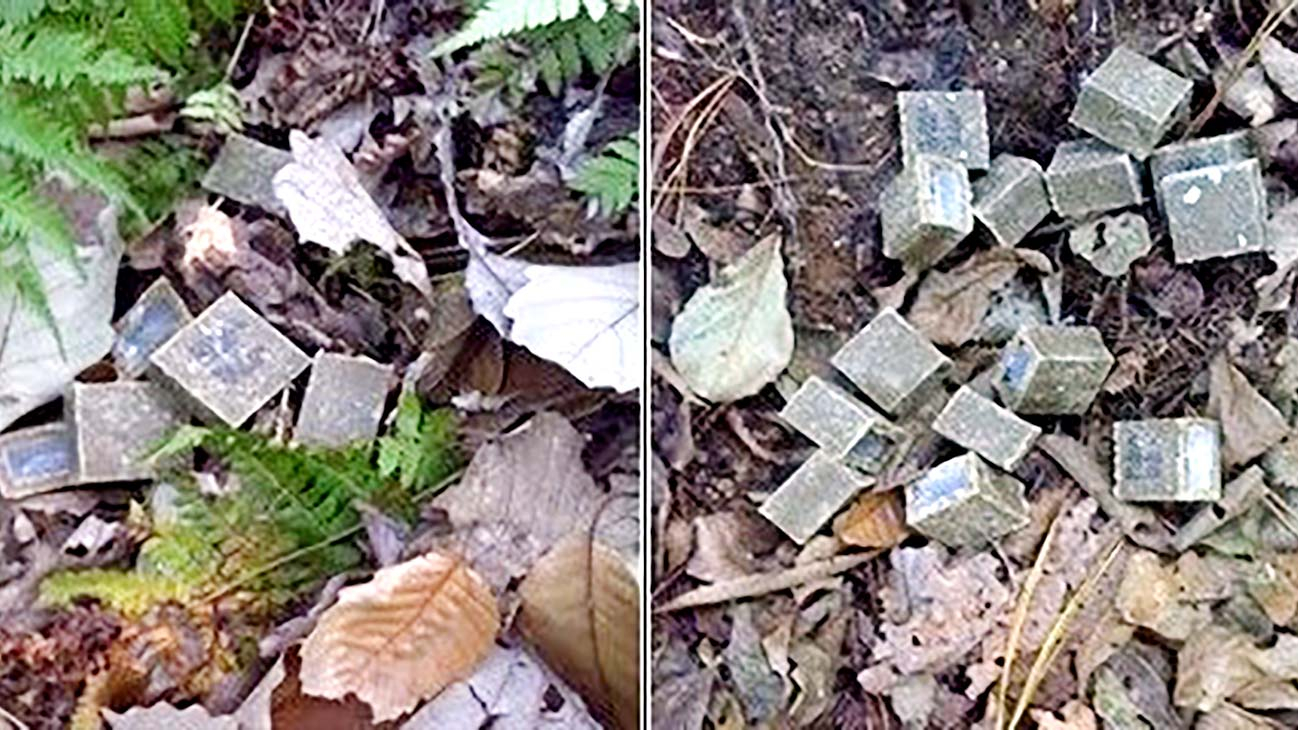 Photos of oral rabies vaccine scattered on the ground [SEOUL METROPOLITAN GOVERNMENT]