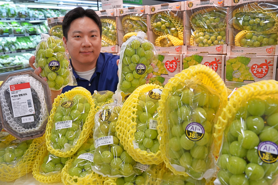 A Lotte Department Store employee introduces shine muscat grapes selected by artificial intelligence for a sales event on Thursday.[LOTTE DEPARTMENT STORE]