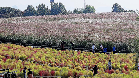 People walk along the Haneul Park in Mapo District, western Seoul, enjoying the clear autumn skies on Thursday. According to the Korea Meteorological Administration (KMA) on Thursday, rain is expected in Seoul on Friday. [JOONGANG ILBO]