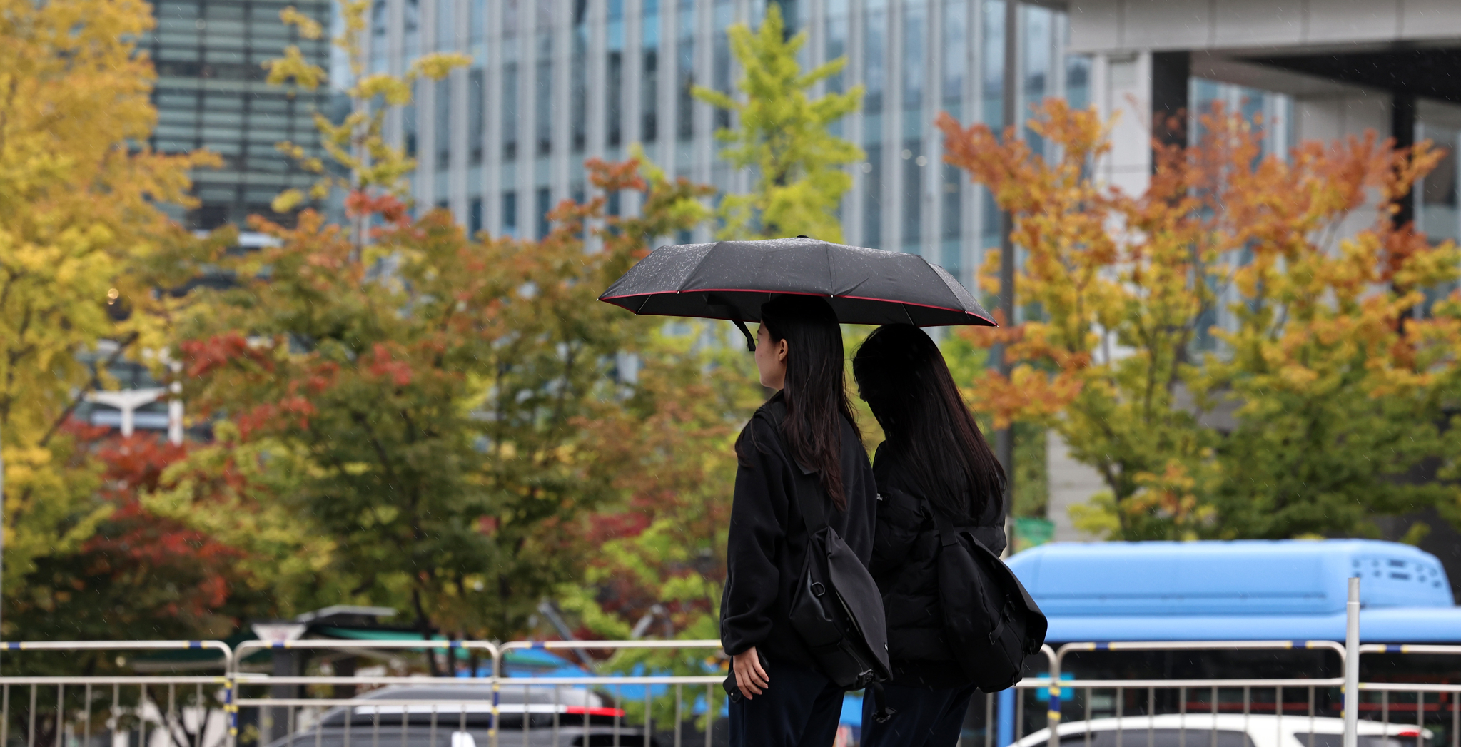 People with umbrellas walk at Gwanghwamun Square in Jongno District, central Seoul, on Friday. [NEWS1]