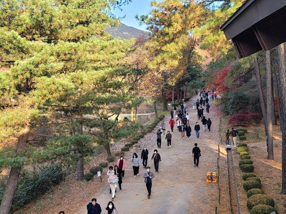 Seoul National University's Gwanak Arboretum is temporarily open to visitors from Oct. 19 to Nov. 17. [ANYANG CITY GOVERNMENT]