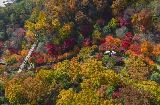 Known for its wide variety of maple trees, Hwadam Botanic Garden is one of Seoul’s prime spots for autumn scenery. Visitors must make online reservations. [KONJIAM RESORT]