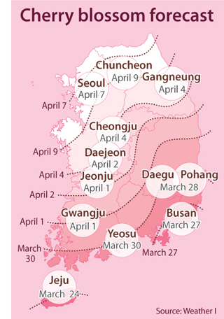 Planning Your Cherry Blossom Peeping Spots